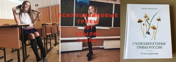 гидра Армянск