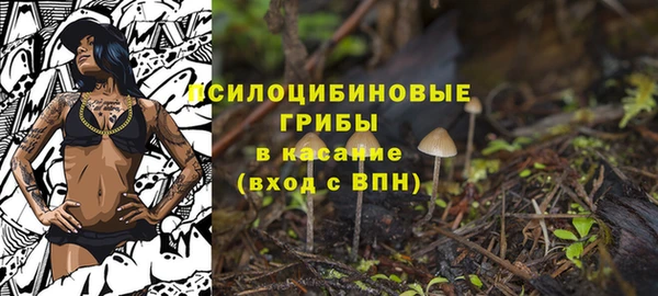 гидра Армянск